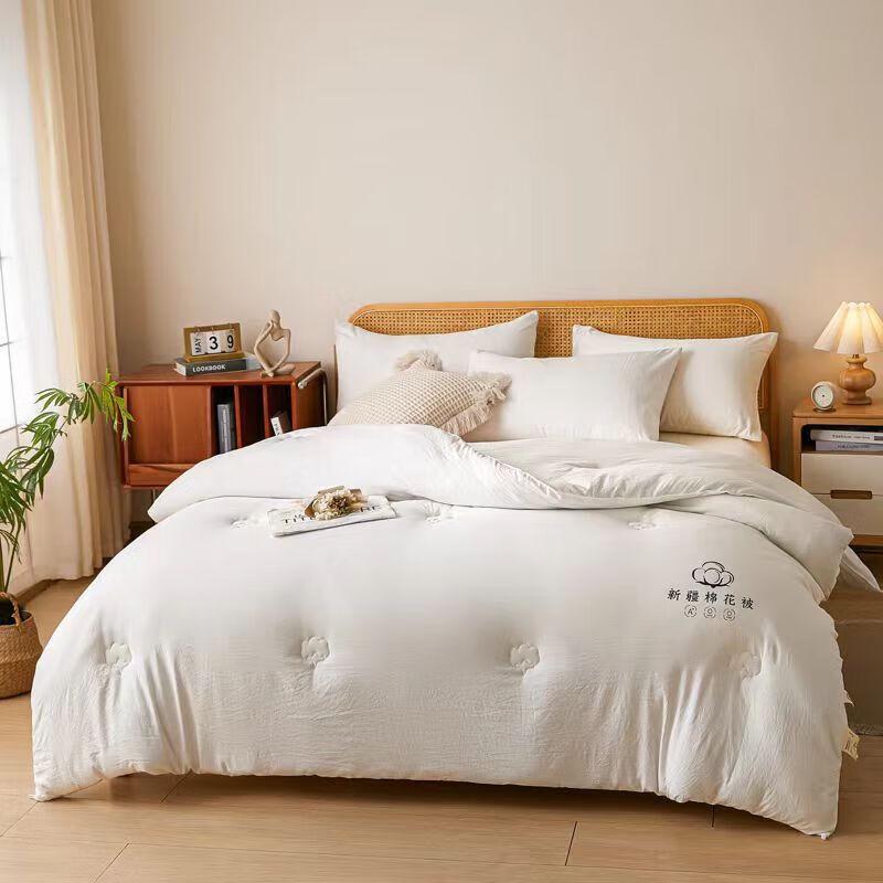 High Quality Xinjiang Water-Washed Cotton Winter Quilt