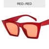 Oversized Square Eyewear Vintage Cat Eye Sunglasses Women/Men  Lady Sun Glasses Classic Outdoor Travel Gafas De Sol