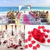 100/200/500/1000Pcs Artificial Rose Petals Artificial Flower Silk Petals for Valentine Day Wedding Flower Decoration