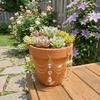 Reflective Flower Pot Crystal Sun Catcher Butterfly Design Hanging Pot Crystal  Bonsai