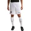 Nike Мужские спортивные брюки для футбола Dri Fit IB4845-100