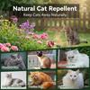 12Pcs Cat Repellent Ball Natural Peppermint Oil Cat Repellent Plant Based Anti Cat Scratch Ball for Keep Pet Off Yard Garden