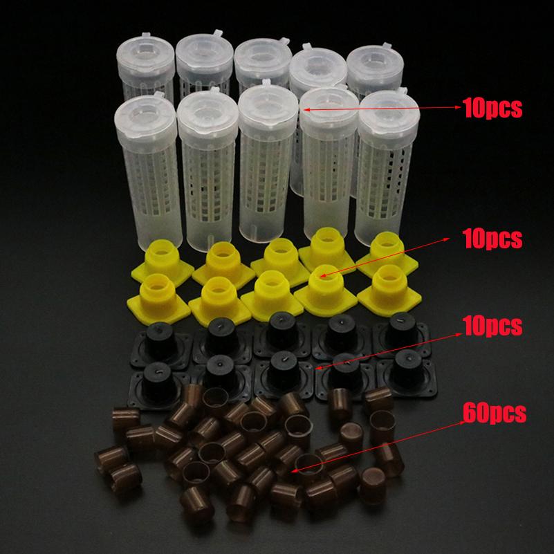 Complete Bee Queen King Rearing Kit System Cages Bees Tools Set Supplier Tool Equipment Base Celular Cells Cell Beekeeping