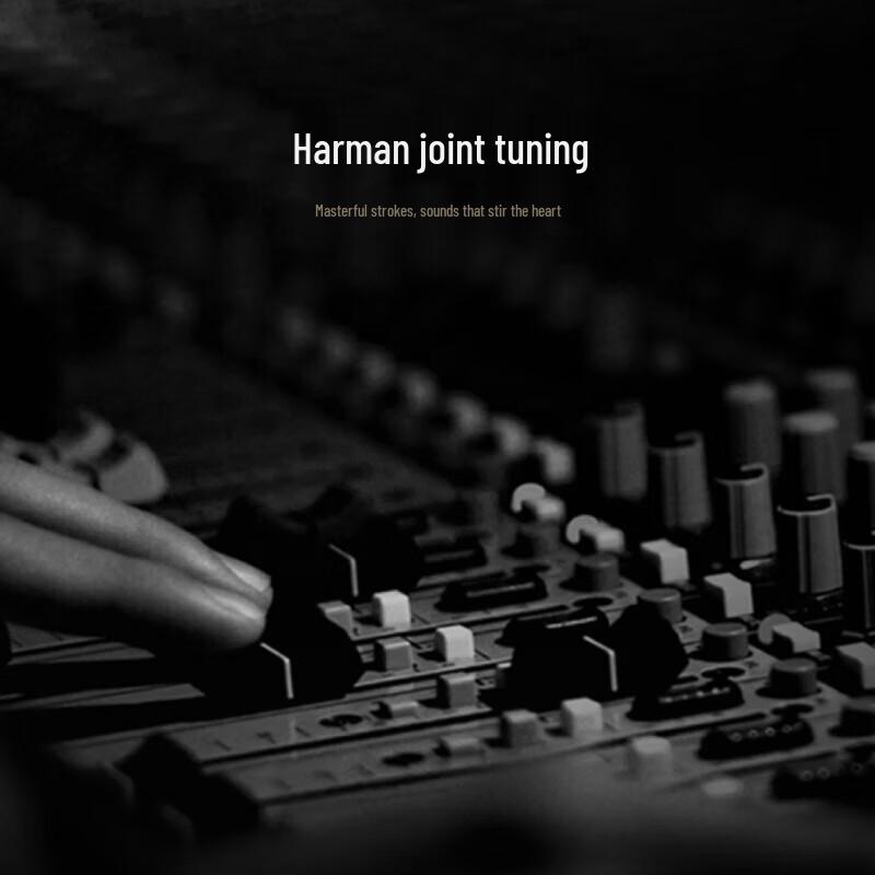 Xiaomi Open-ear Earphones Pro