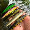 Lure Plastic Hard Bait 12.5cm 13g Floating Water Minnow Biomimetic Lure Fake Bait Fishing Gear