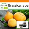 Garden in the Bag - Органический - Репа - Голдана - 500 семян - С субстратом в подходящем пакете-стойке - Brassica rapa