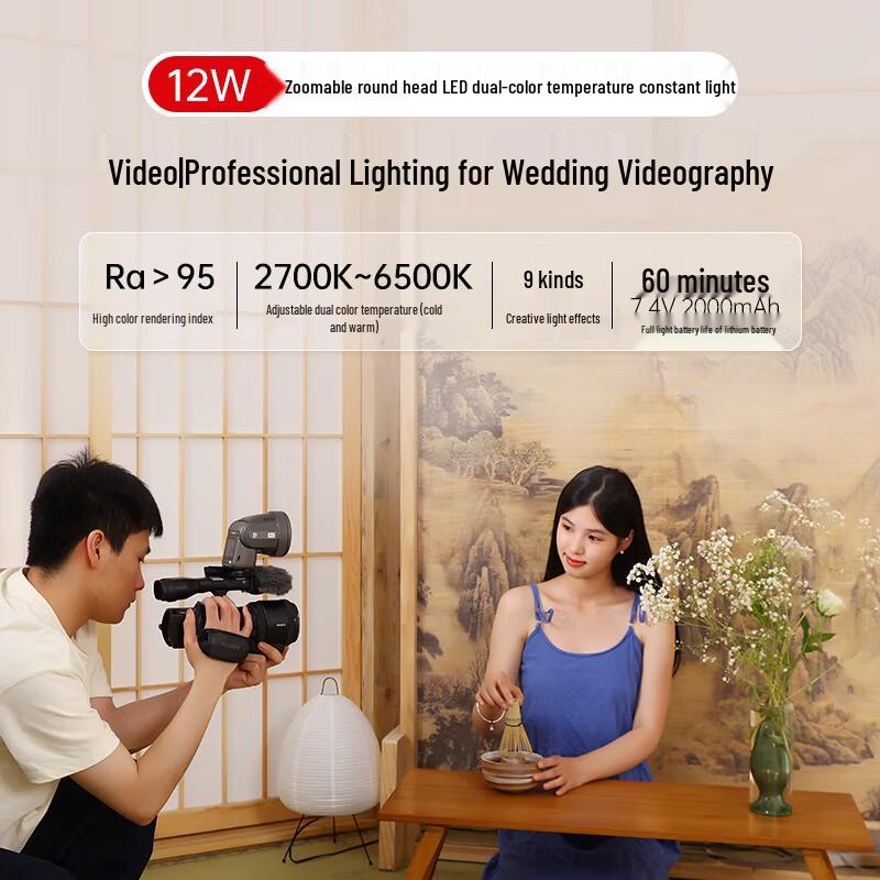 JINBEI H1 Round Head LED Speedlight for Sony