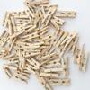 Natural Wood Small Clips for Storage and Photos (2.5~7.3cm)