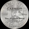 12-дюймовая пластинка CASSIDY FT. BEANIE SIGEL & FABOLOUS - You Already Know FULS001PROMO Полная поверхность Re 2007 США Рэп & Хип-хоп/R&B Б/у