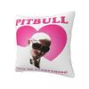 Mr Worldwide Pitbull Pillow Case Cushion Cover Square Printed Pillow Cover Kawaii Pillowcases For Living Room Chair