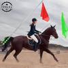 Флаги для тренировки лошадей с телескопической мачтой Набор мачт для гида Портативное снаряжение для верховой езды Яркие цвета