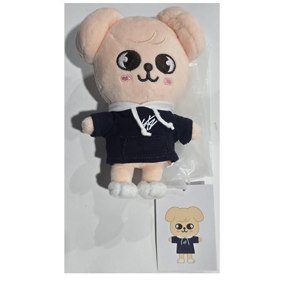Stray Kids SKZOO Плюшевый МИНИ Версия (Школа Магии) со случайным POB
