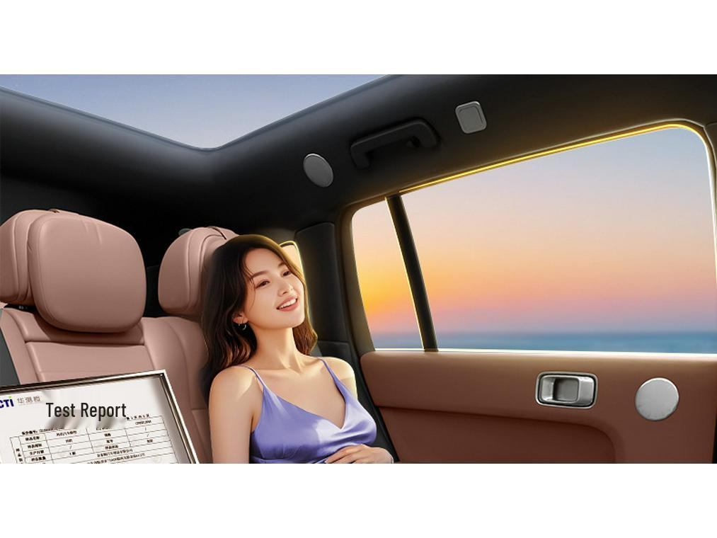 Nio ES8 All-Inclusive Foot Mats & Trunk Mat for 26 Models - Six-Seater Car Accessories