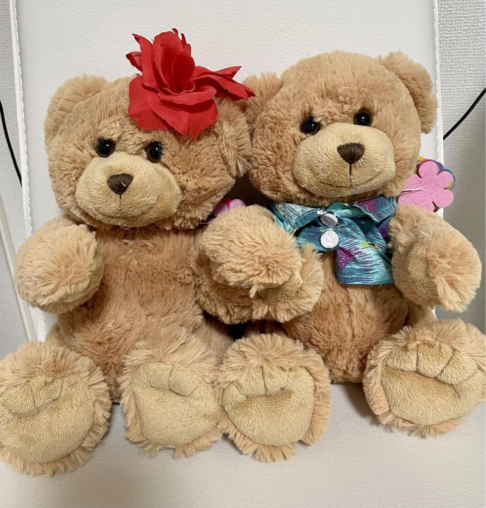 [USED] Stuffed Teddy Bear