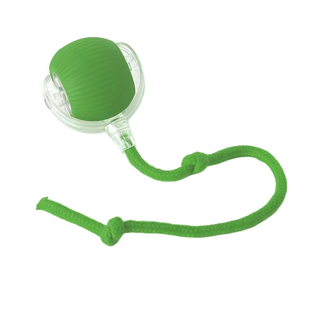 Pet Toy Ball Interactive Roller Ball for Cat and Dog Self-Entertaining Rechargeable Electric Roller Ball Toy Green