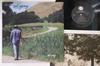 LP Пластинка NEIL YOUNG - Old Ways 28AP3071PROMO GEFFEN 1985 Япония Рок Б/У
