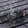 Высококачественный входной коврик для пола, кухонный входной коврик, водо- и масловпитывающий, противоскользящий коврик, внутренняя и наружная декорация