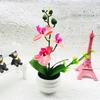 Phalaenopsis Potted Decorative Plant For Living Room Decor And Gift Display