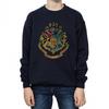 Yuqori (4 yoshdan oʻgʻil bolalar) – Hoodies, sweatshirts va sweatshirts