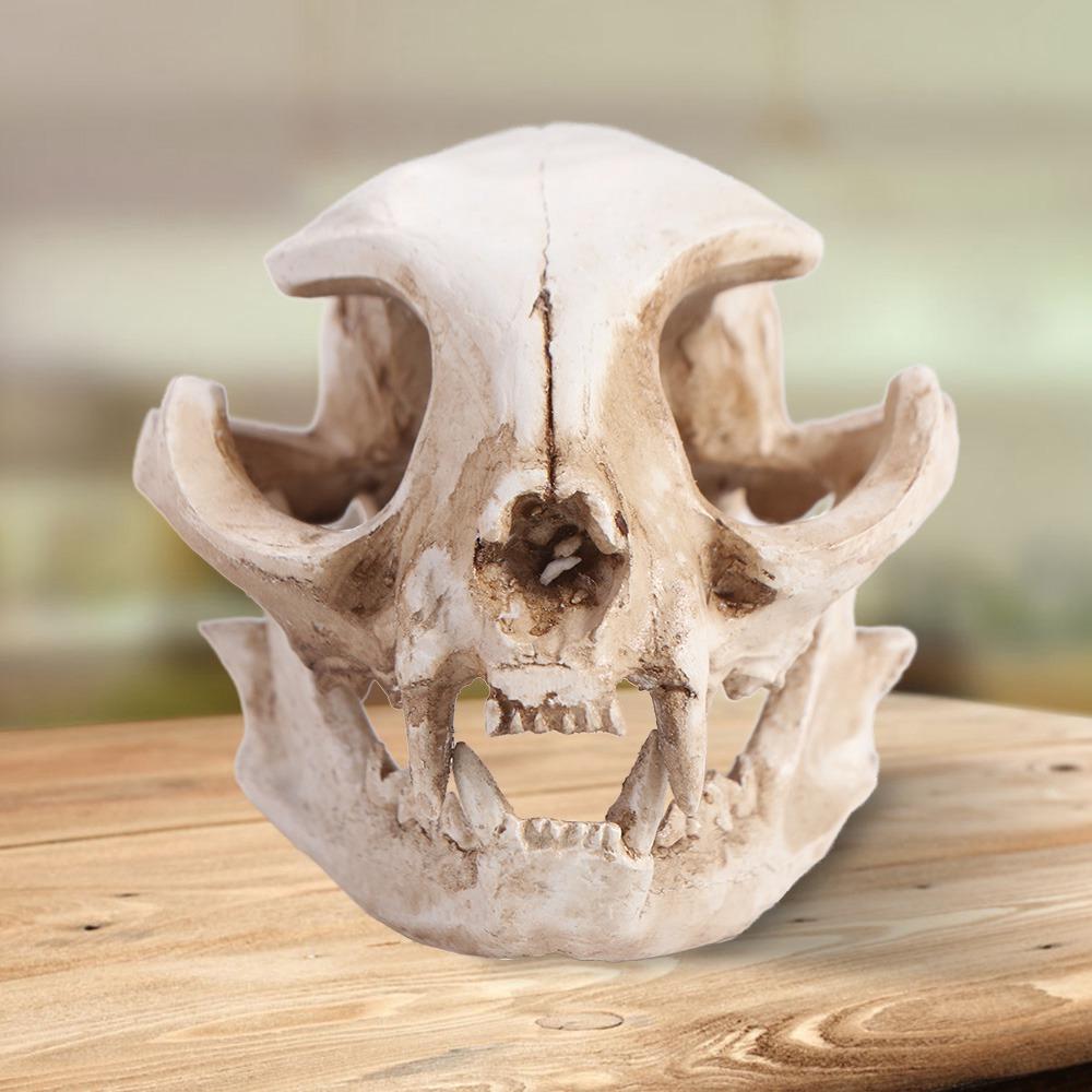 Resin Animal Skull Ornament Funny Cat Skull Statue Halloween Cat Skull Model  Halloween Decor Gifts