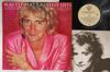 LP Record ROD STEWART - Rod Stewart Greatest Hits HS3373 WARNER BROS 1979 US Rock Used