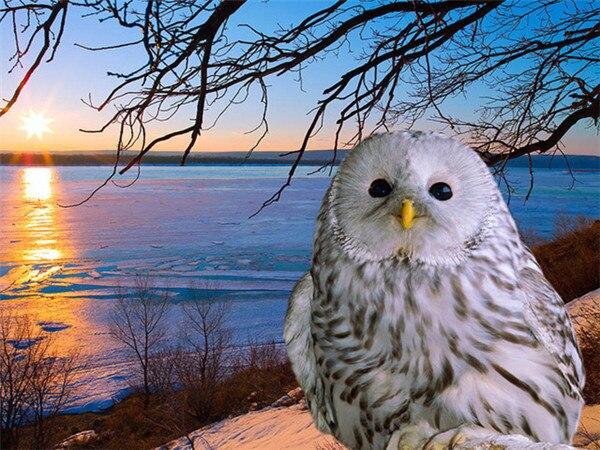 Алмазная картина Сова, полная дрель, украшение для дома, Алмазная вышивка, мозаика с животными, картина со стразами, настенное искусство
