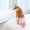 Washable Dog Physiological Pants Safety Dog Sanitary Diaper Pet Menstruation Shorts  Medium Dogs