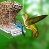 Bird Automatic Feeder Splash Proof Bird Feeder Bird Cage Accessories Bird Food Container for