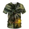 Кокосовое растение 3D-печать футболки Отпуск Закат Короткий рукав Улица Лето Круглый вырез Мужские и женские Унисекс футболки