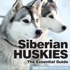 Книга Siberian Huskies The Essential Guide by UNKNOWN - Paperback