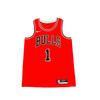 Nike Баскетбольная форма Chicago Bulls Унисекс CW3700-657