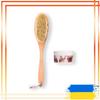 Sisal Dry Massage Brush + Hillary Coconut Oil Scrub, 200 G