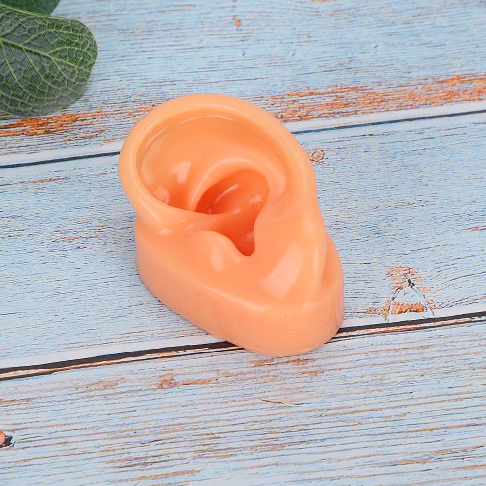Силиконовая левая ухо модель имитация дисплей ухо модель для больничных слуховых аппаратов