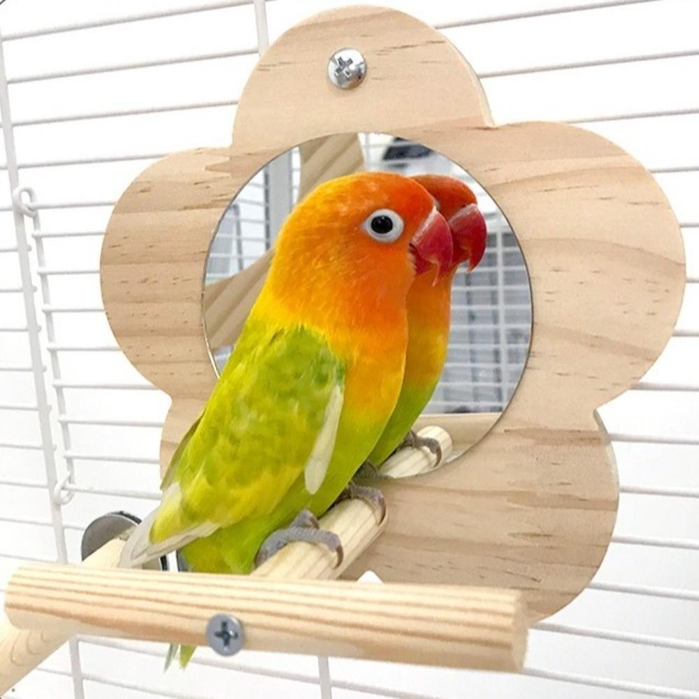 Bite Resistant Bird Flower Mirror Toy Hanging Parrot Swing Toy Parrot Swing Stand  Cage Accessories