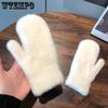 Winter Women's Gloves Autumn and Winter Anti Cold and Warm Riding Gloves Winter