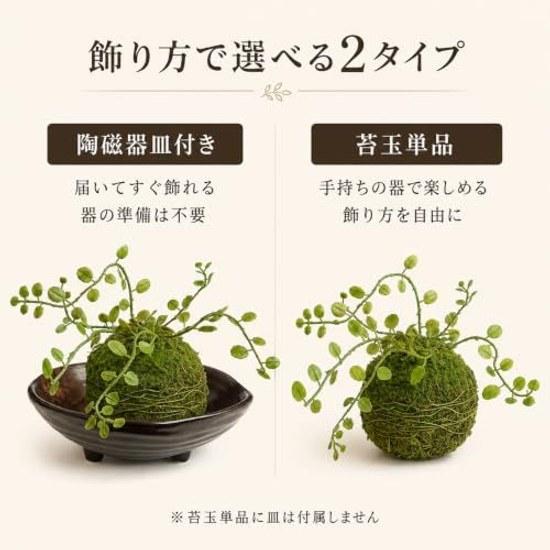 Moss ballfake greenJapanese styletabletop interiorartificial foliage plantno watering neededentranceliving roomstore receptionindoor use (wire plants