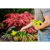 203366 Ryobi 18V String Trimmer