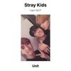 Stray Kids Я НЕ официальная фотокарточка