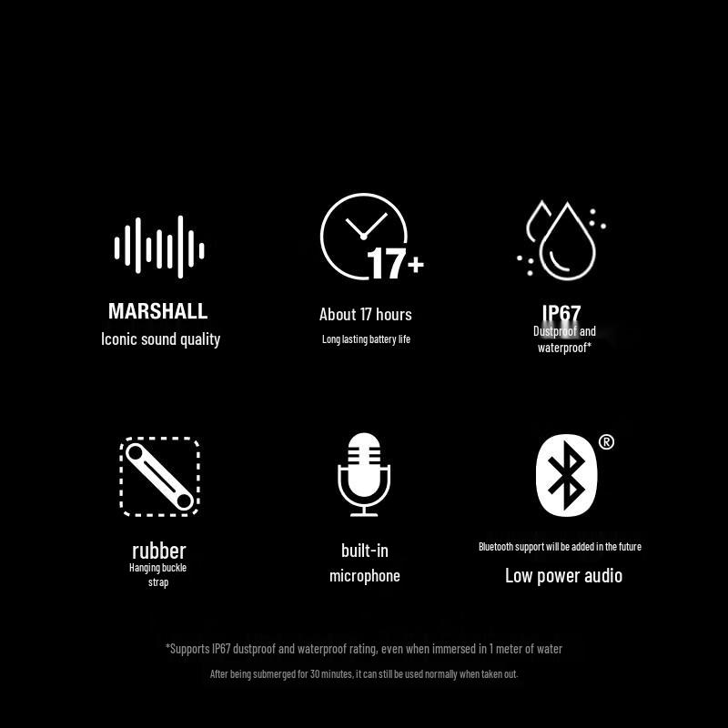 Marshall Willen II Portable Bluetooth Speaker