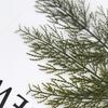 24 шт. искусственные рождественские ветки сосновой иглы, реалистично выглядящие искусственная зелень, сосновые кирки, украшение для рождественской елки