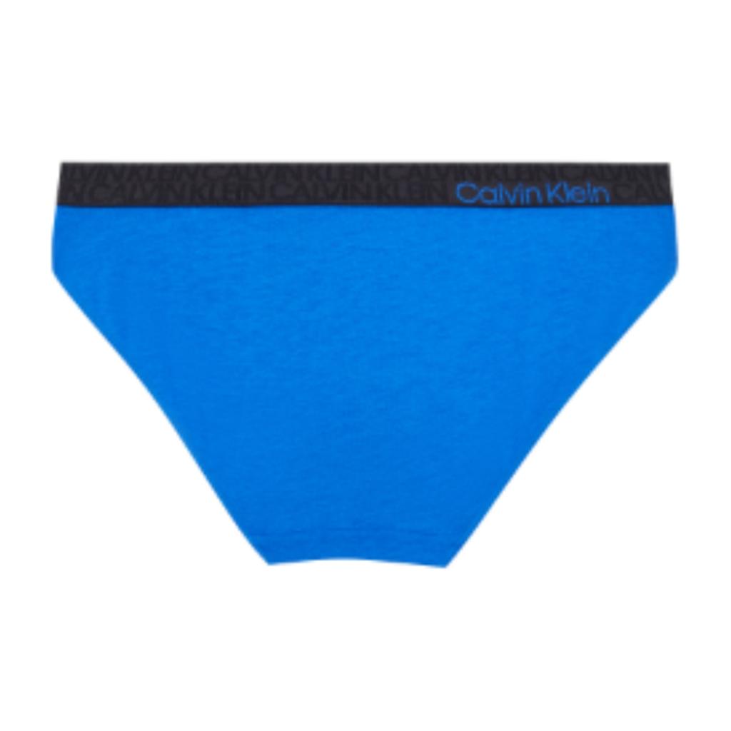 Calvin Klein Large Logo Waistband Hipster Briefs Women Underwear Blue QF6580AD-C6X