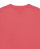 POLO RALPH LAUREN Vintage Fit Fleece Graphic Sweatshirt - Dark Red