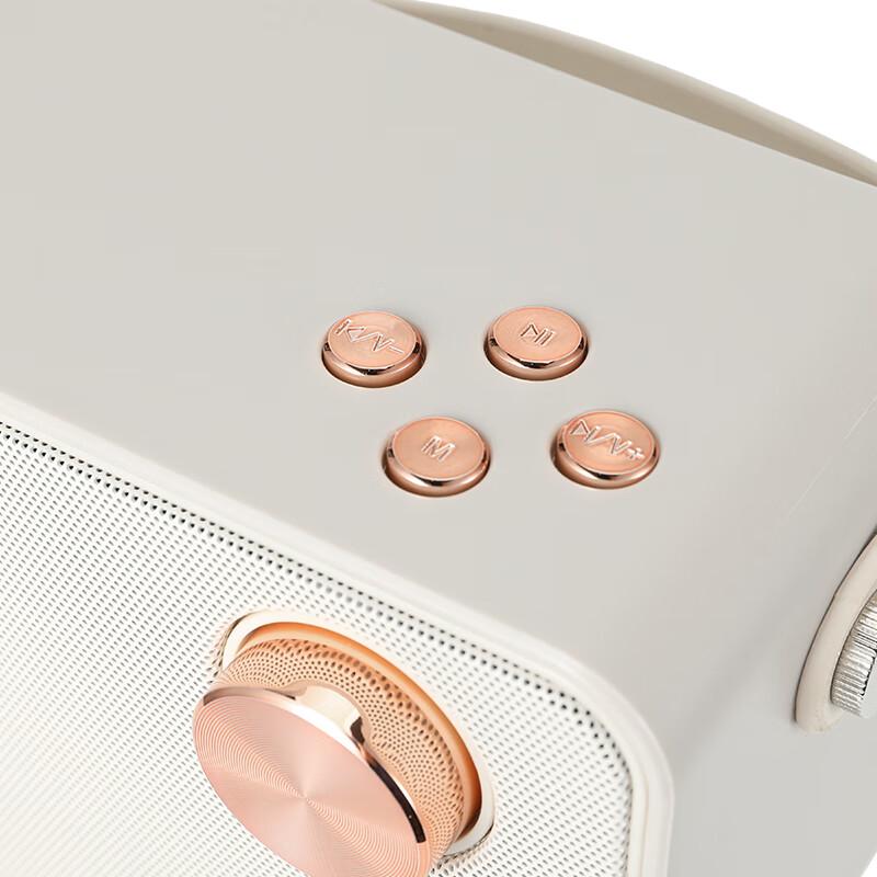 Jiguang K-Song Speaker with Microphone