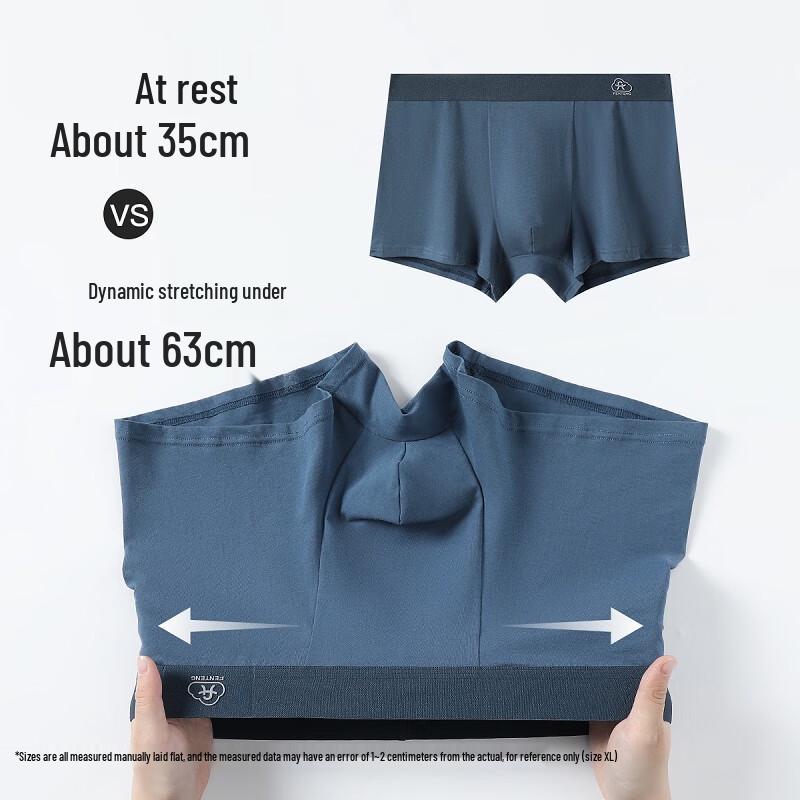 Мужские антибактериальные боксеры-брифы Fenteng 10A из хлопка 50-х годов, 4 штуки