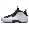 Air Foamposite One Olympic GS 644791-403