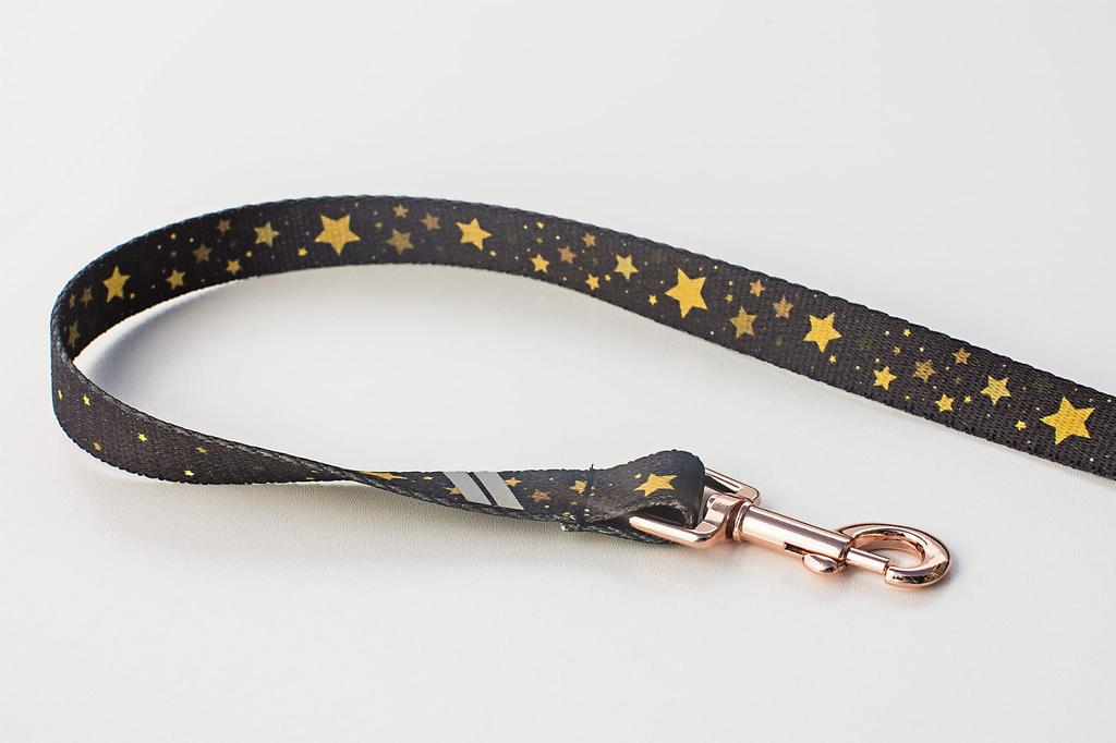 Short Leash 2cm x 150cm Stars Gold