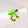 Кольцо для пальца в форме лягушки, пряжка для уха, однотонный сплав, гальваническое отверстие, регулируемый браслет для праздников и вечеринок, аксессуары