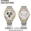 Citizen Eco-Drive Radio-Controlled Watch Gold 3-Hand Model 10 ATM Water Resistant Men's