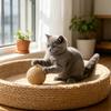 Игрушка-мячик для кошек из искусственного сизаля, большой сизалевый шар-когтеточка 8 см со встроенным колокольчиком, интерактивная игрушка для игр кошек, устойчивая к укусам игрушка для кошек для снятия стресса и