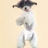10PCS Super Absorption Dog Physiological Pants Adjustable Disposable Diapers  Dog Travel